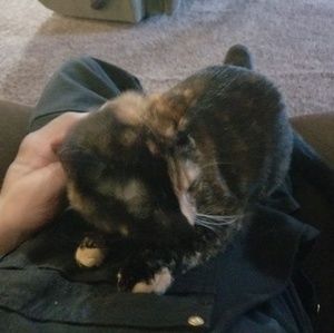 Meet your Posher, Glenn